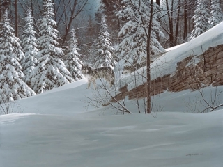 Wolf Pack in Winter