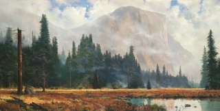 Yosemite Meadow