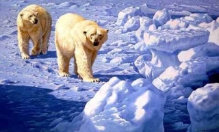 Along the Ice Floe - Polar Bears
