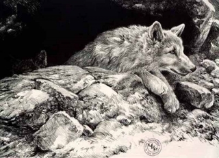 Arctic Wolf Pups