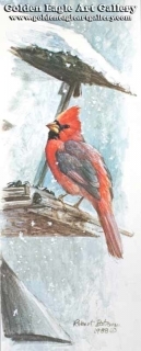 At the Feeder - Cardinal
