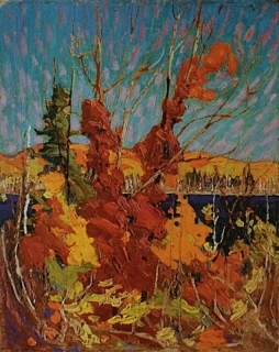 Autumn Foliage