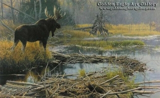 Autumn Overture - Moose