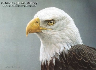 Robert Bateman Art Print California Condors 20013 Vulture Buzzard Wingspan Prey 