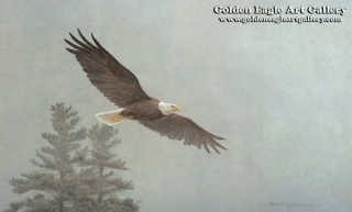 Robert Bateman Art Print California Condors 20013 Vulture Buzzard Wingspan Prey 
