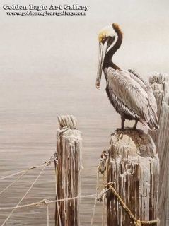 Brown Pelican and Pilings