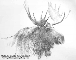 Bull Moose - Litho