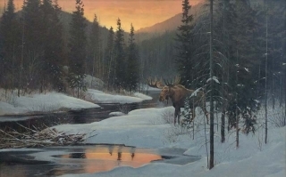 Bull Moose in Winter