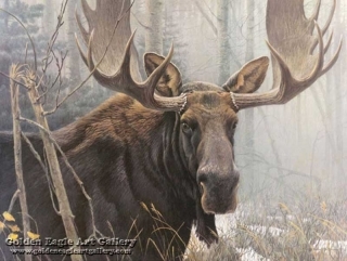 Bull Moose