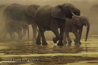 By the River - Elephants