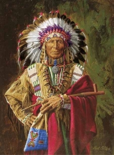 Chief of the Rosebud