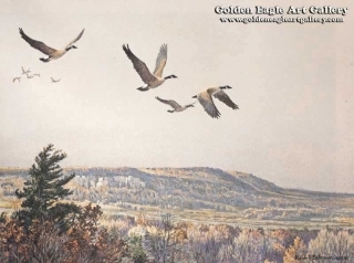 Canada Geese Over the Escarpment