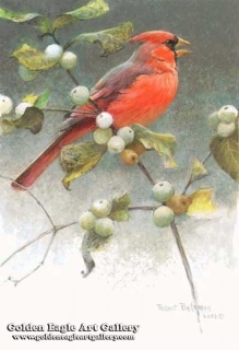 Cardinal and Snowberries