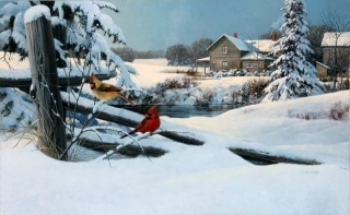 Cardinal Pair in Winter