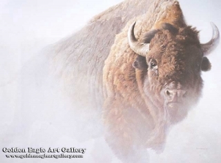 Chief - American Bison