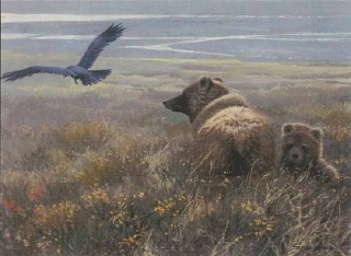 Denali Encounter - Grizzly,Cub and Raven