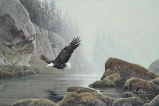 Flight of the Eagle