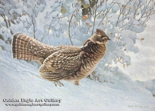 Early Snowfall - Ruffed Grouse