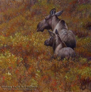 Fall Forage - Moose Cow and Calf