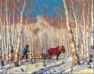 March in the Birch Woods