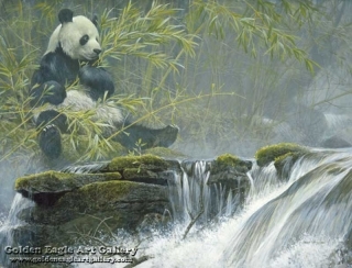 Giant Panda