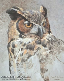 Great Horned-Owl Study