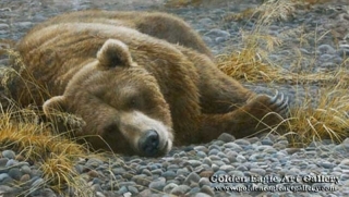 Grizzly at Rest