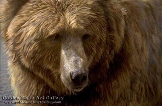 Grizzly Head