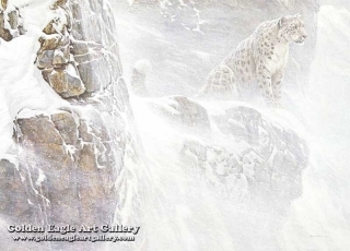 High Kingdom - Snow Leopard