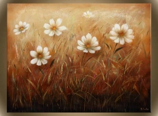 Wild Daisies