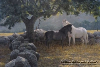 In the Field - Mare and Foal