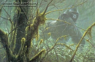 Intrusion - Mountain Gorilla