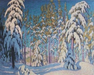 Winter in the Northern Woods