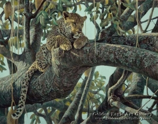 Leopard in a Sausage Tree