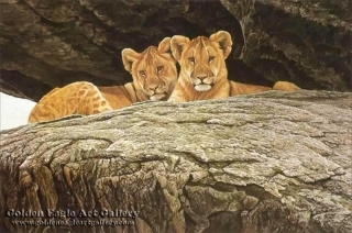 Lion Cubs