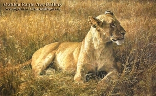 Lioness at Serengeti