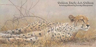 Londolosi - Cheetah