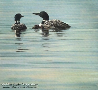 Loon Family