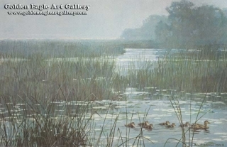 Mallard Family Misty Marsh