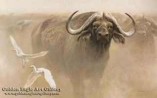 Master of the Herd - African  Buffalo