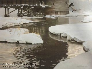 Mill Pond - Canada Geese