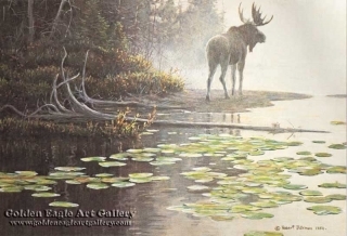 Moose at Waters Edge