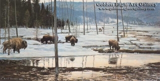 Morning on The Flats - Bison