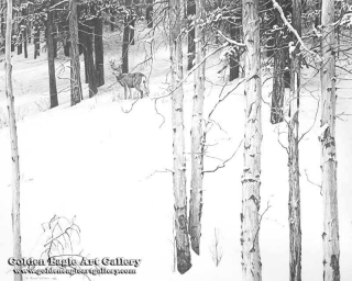 Mule Deer in Aspen