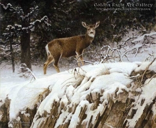 Mule Deer in Snow