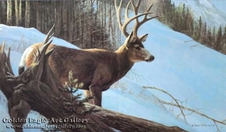 Mule Deer in Winter