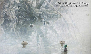 Old Willow and Mallards