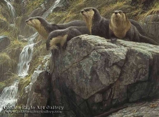 On the Brink - River Otters