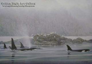 Orca Procession