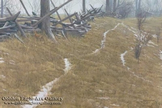 Pasture Trails - Red Fox